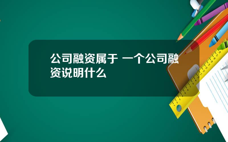 公司融资属于 一个公司融资说明什么
